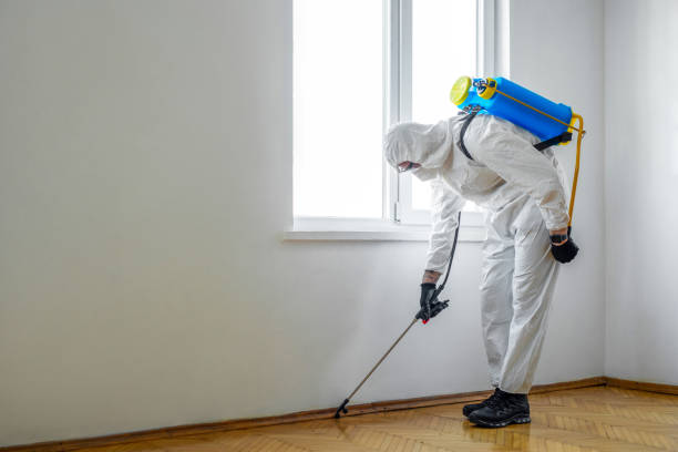 Best Best Pest Control Companies  in Green Park, MO
