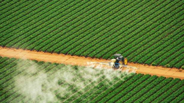 Best Commercial Pest Control Services  in Green Park, MO